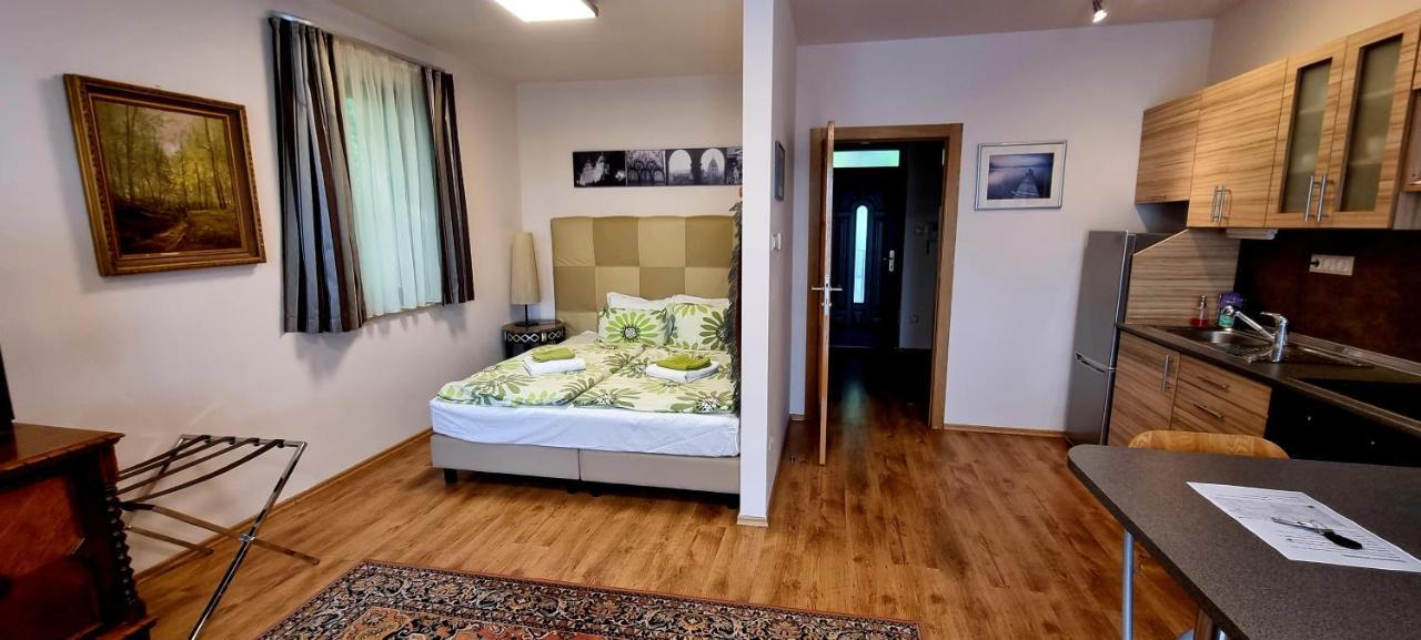 Apartment Sofia Kazmer Budapest